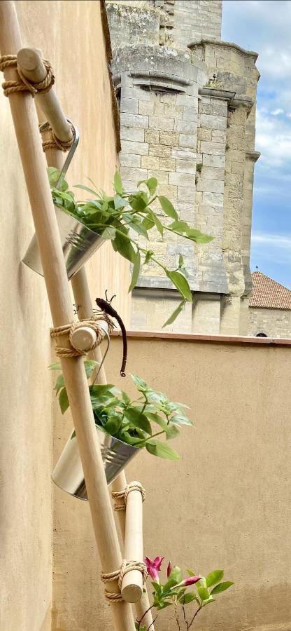 Tresors De La Cathedrale, Maison De Ville Sur 4 Niveaux Ναρμπόν Εξωτερικό φωτογραφία